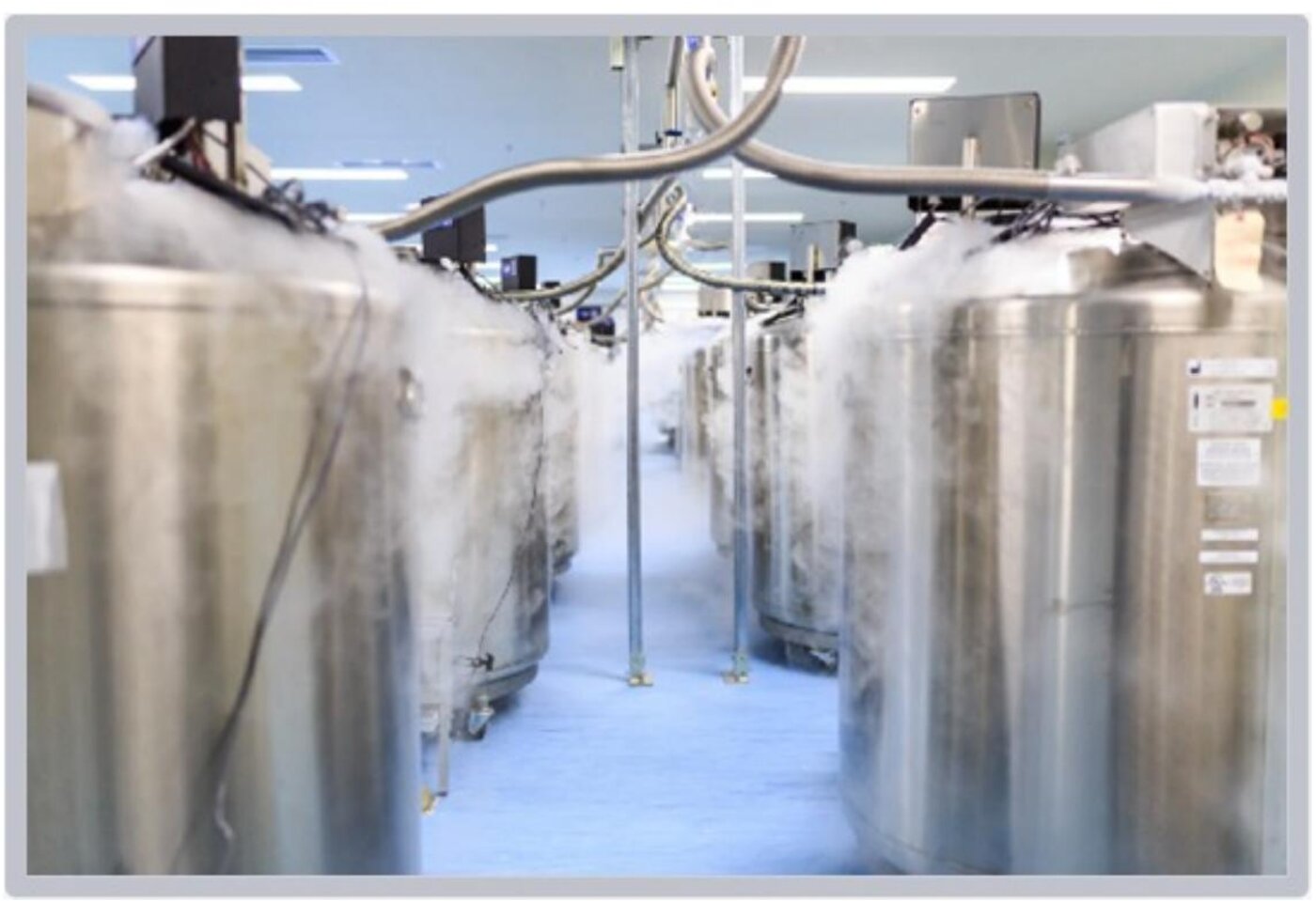 23C cryogenic cell-storage facility — liquid nitrogen storage tanks in the cleanroom