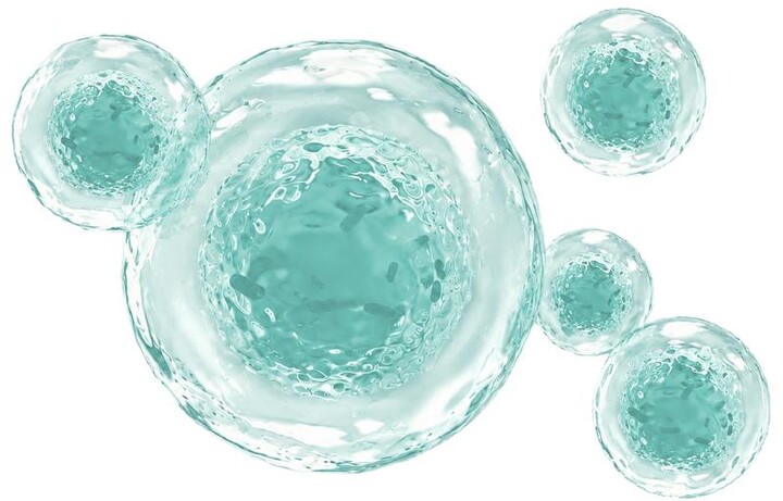 Microscopic stem cells